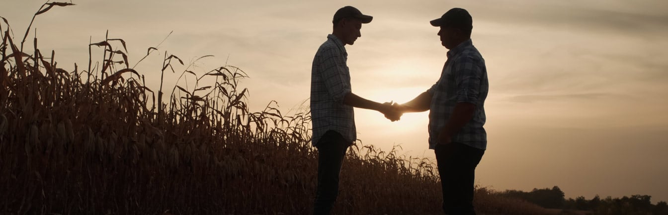 Panele fotowoltaiczne przy gospodarstwie rolnym wspierające lokalną produkcję